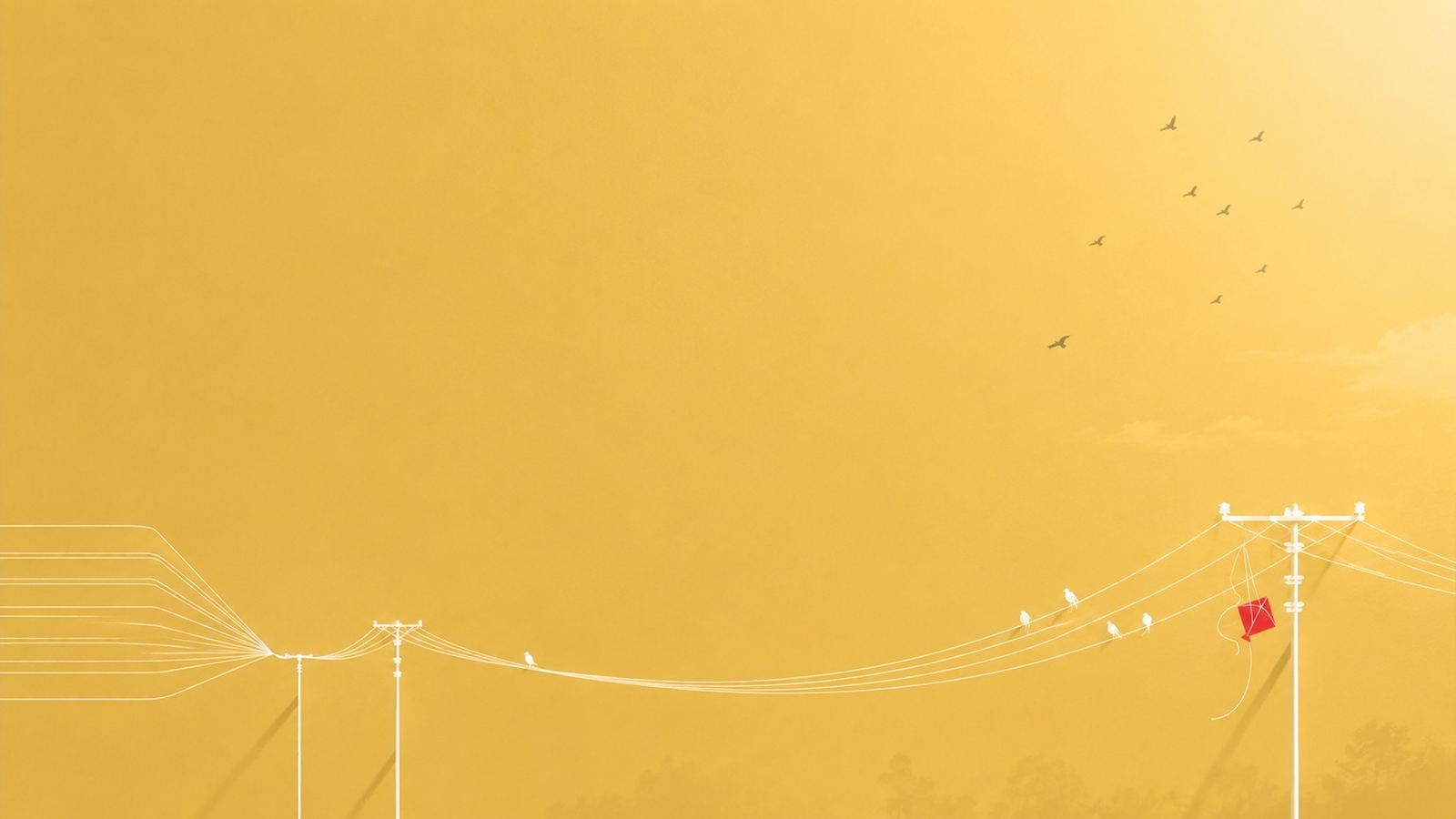 Cover banner for the services page.